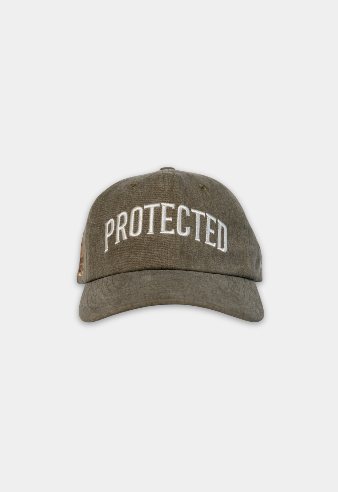 "PROTECTED" DAD HAT